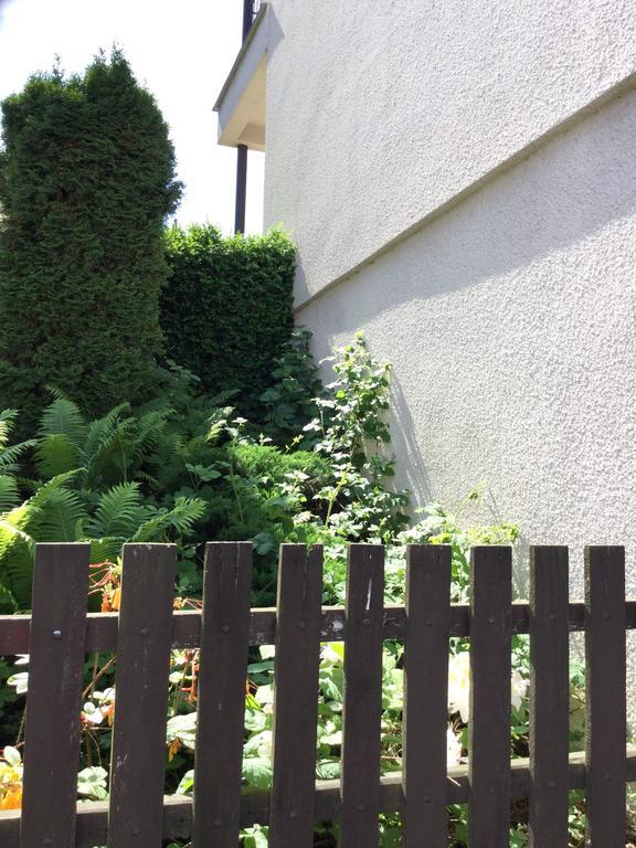 Appartamento Lydiavi Vysoké Mýto Esterno foto
