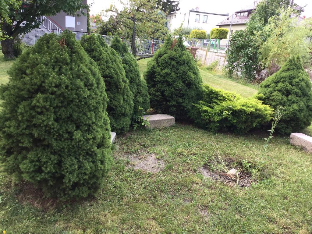 Appartamento Lydiavi Vysoké Mýto Esterno foto